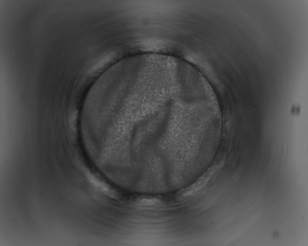 X0000100840066200807180930