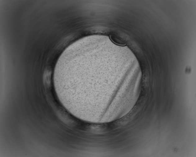 X0000100840070200807180930