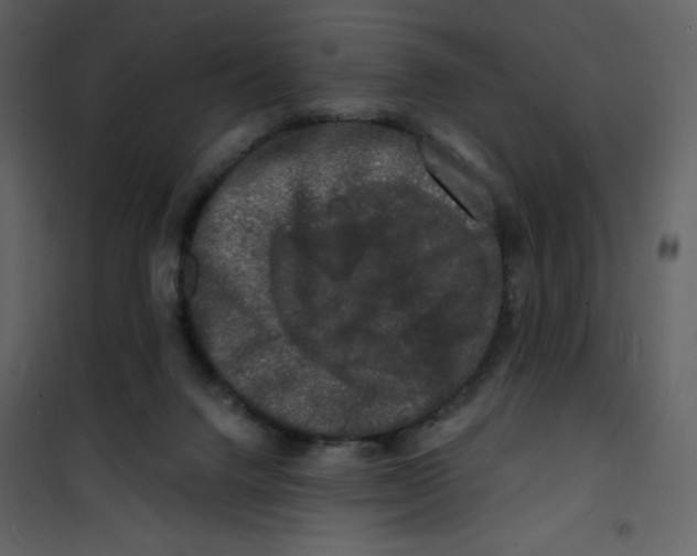 X0000100840072200807180930