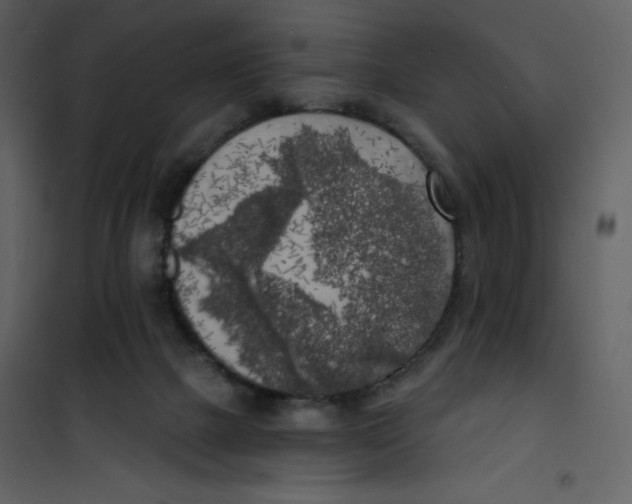 X0000100840073200807180930