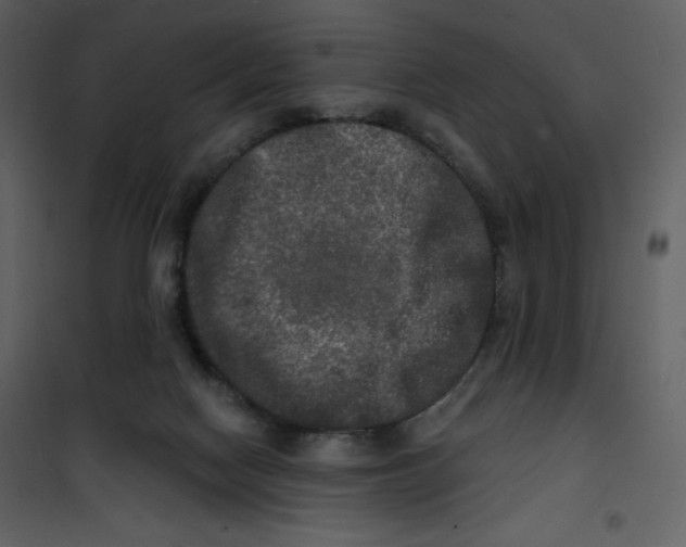 X0000100840074200807180930