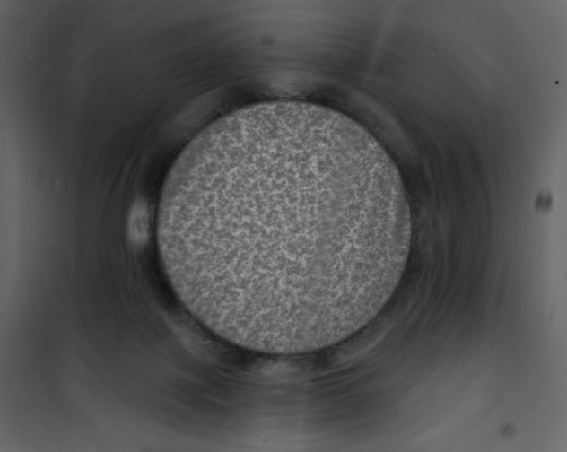 X0000100840075200807180930