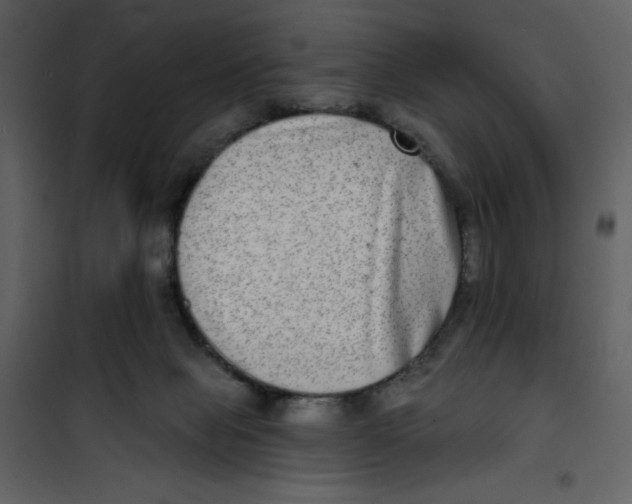 X0000100840077200807180930