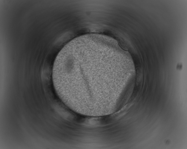 X0000100840078200807180930