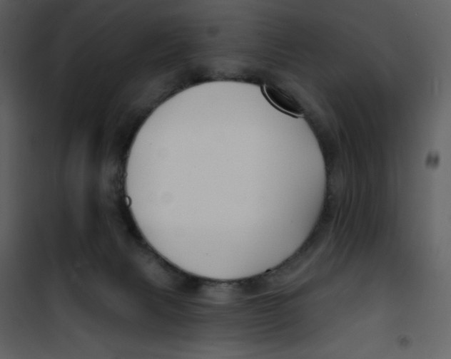 X0000100840079200807180930