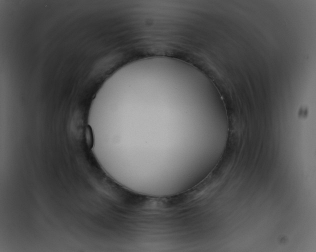 X0000100840080200807180930