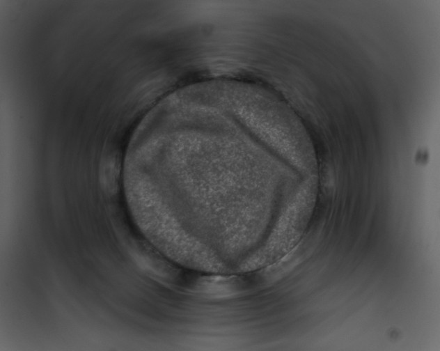 X0000100840082200807180930