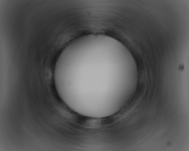 X0000100840084200807180931