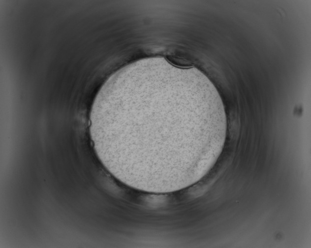 X0000100840085200807180931