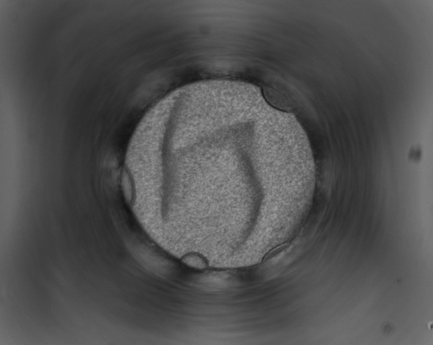 X0000100840086200807180931