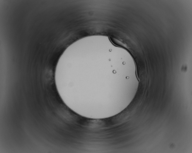 X0000100840087200807180931