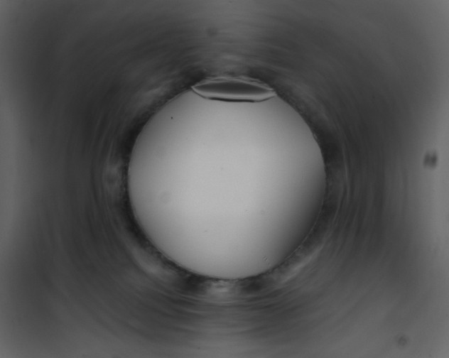 X0000100840088200807180931