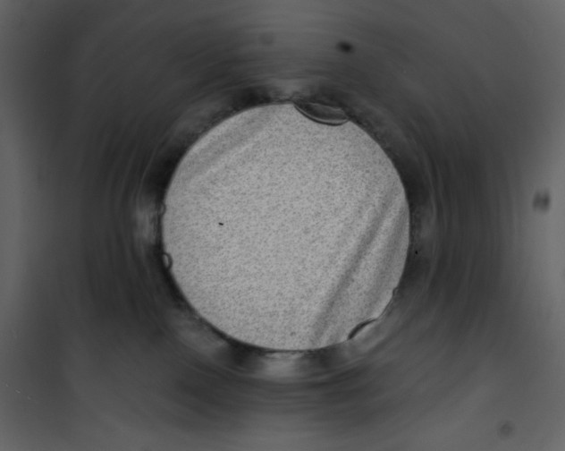 X0000100840090200807180931