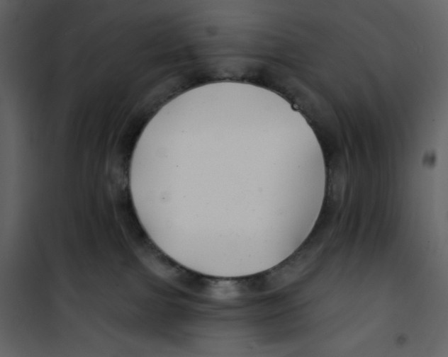 X0000100840091200807180931