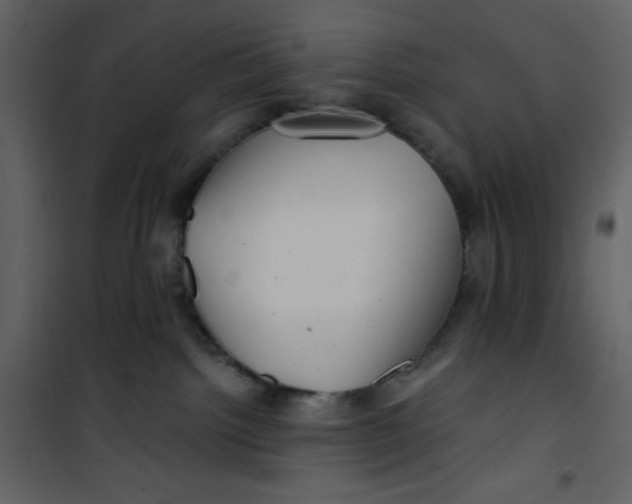 X0000100840092200807180931