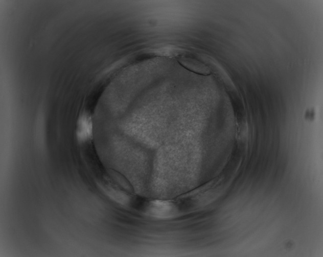 X0000100840095200807180931