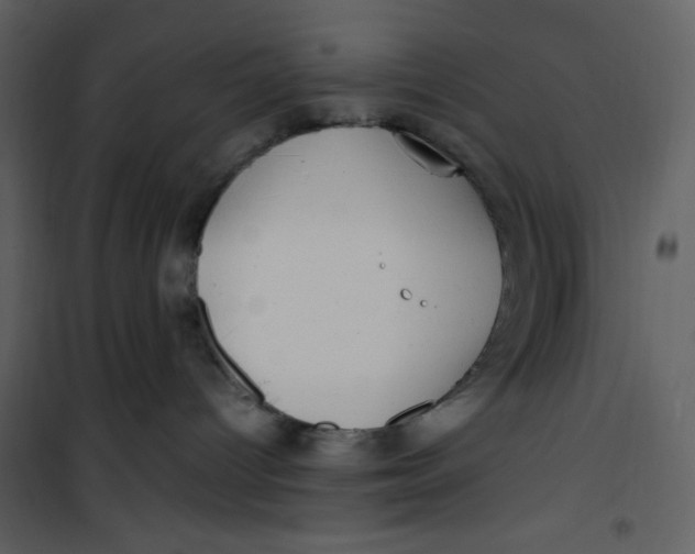 X0000100840096200807180931