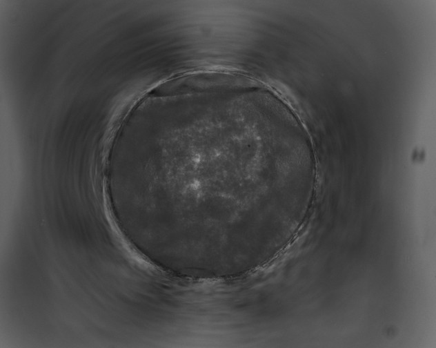 X0000100840097200807180930