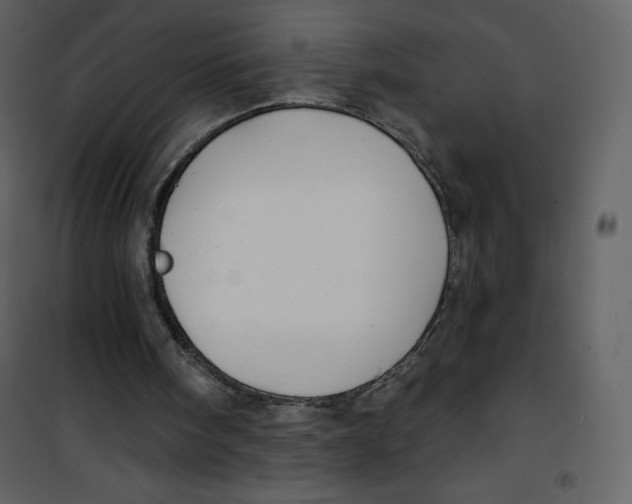 X0000100840098200807180930