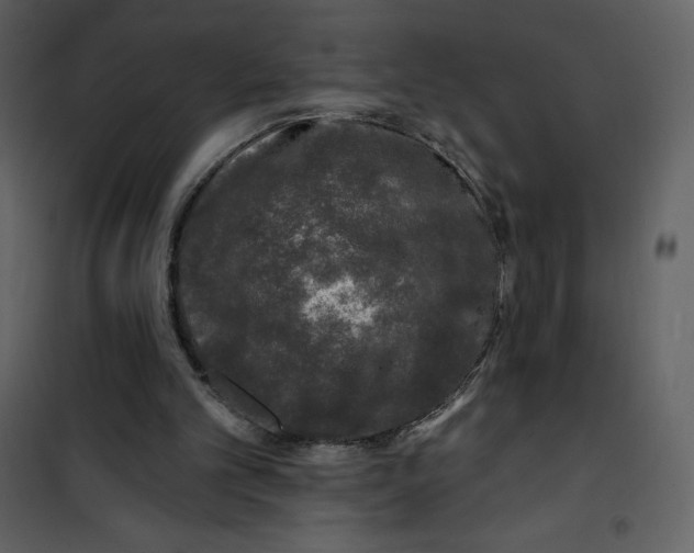 X0000100840101200807180930