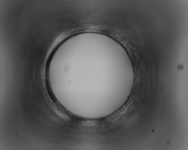 X0000100840102200807180930