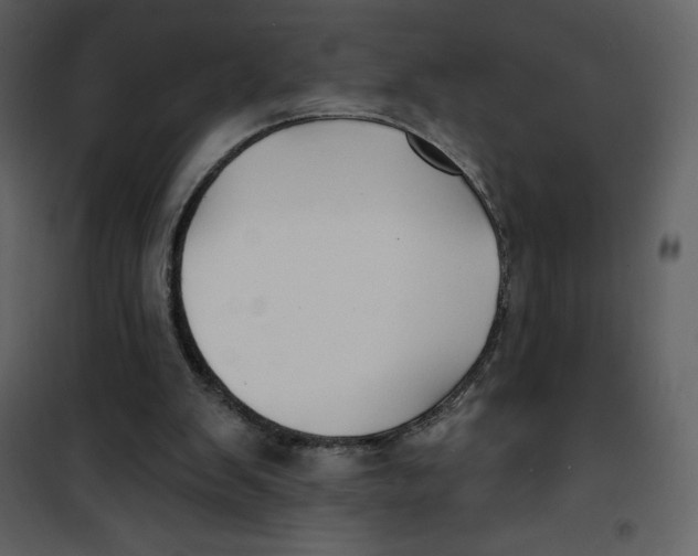 X0000100840103200807180930