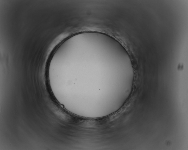 X0000100840104200807180930