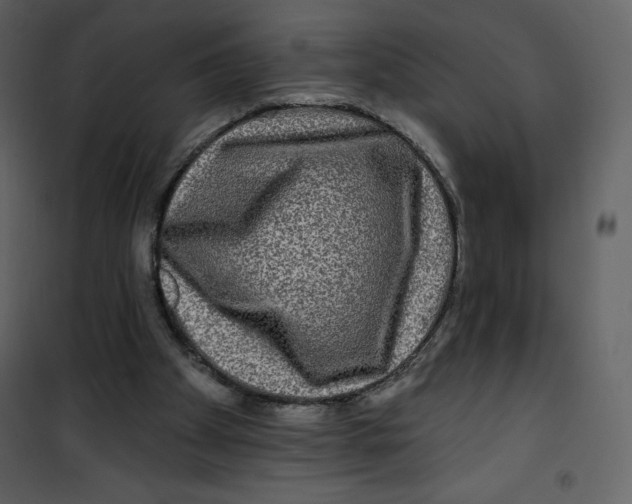 X0000100840105200807180930