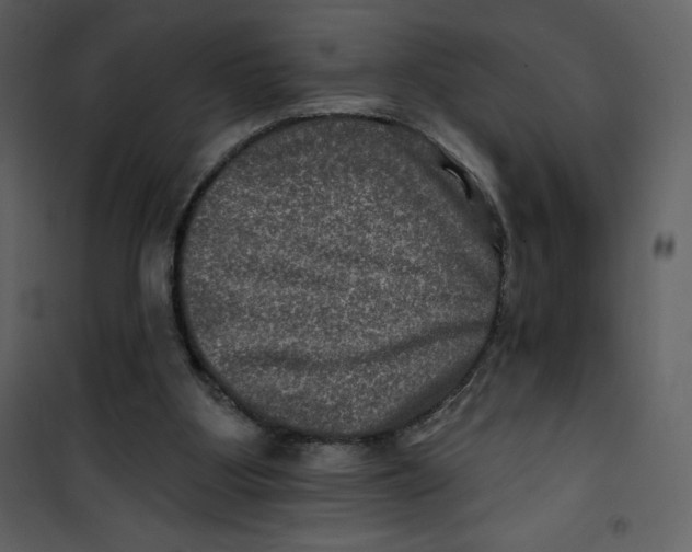 X0000100840107200807180930