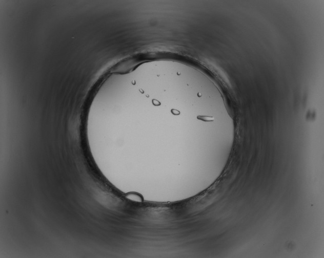 X0000100840108200807180930