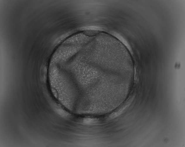 X0000100840109200807180930