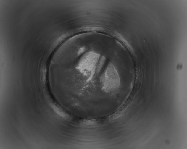 X0000100840110200807180930