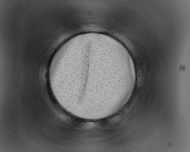 X0000100840111200807180930