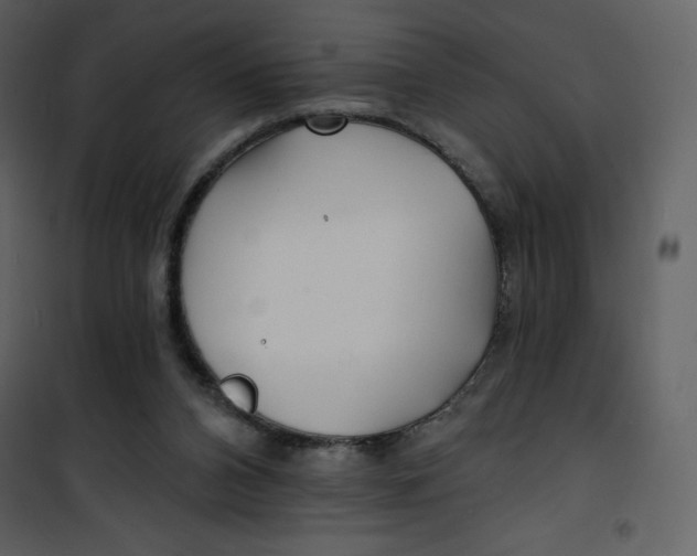 X0000100840112200807180930