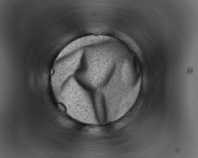 X0000100840113200807180930