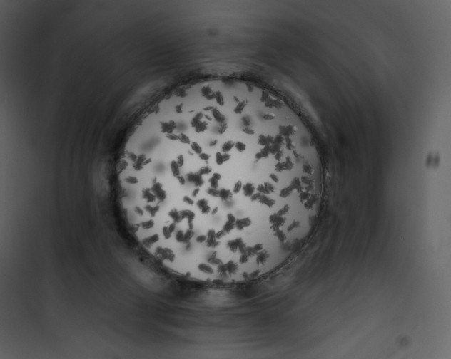 X0000100840114200807180930