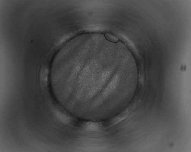 X0000100840115200807180930