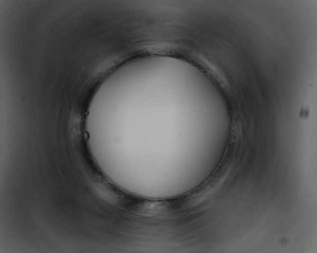 X0000100840117200807180930