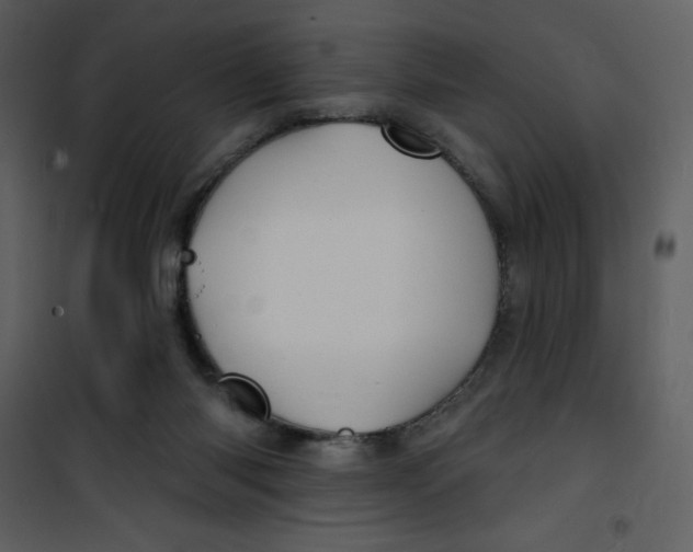 X0000100840118200807180930