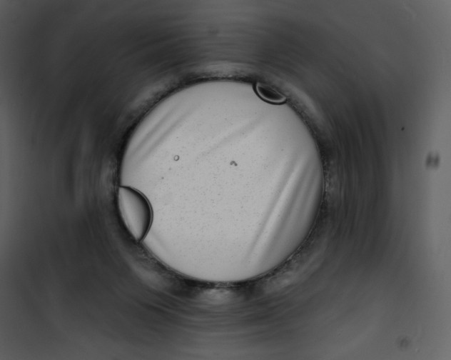 X0000100840119200807180930