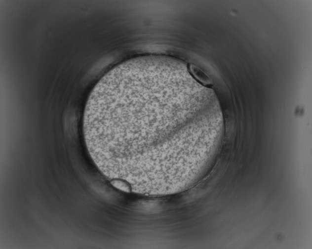 X0000100840120200807180930