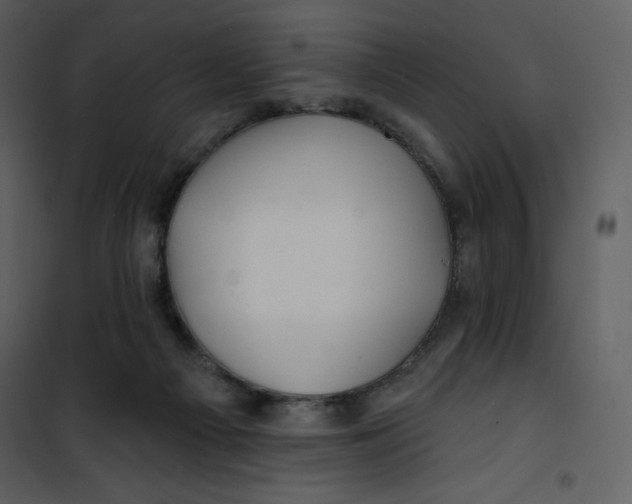 X0000100840121200807180929