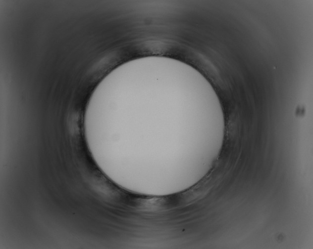 X0000100840122200807180929