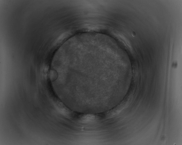 X0000100840123200807180929