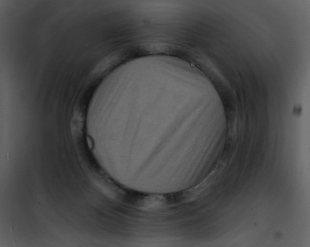 X0000100840124200807180929