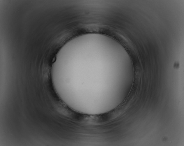 X0000100840125200807180929