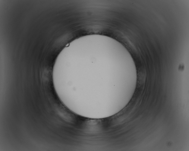 X0000100840126200807180929