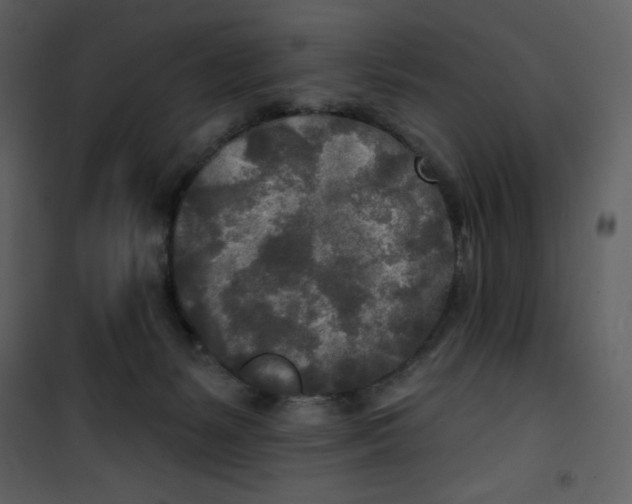 X0000100840127200807180929