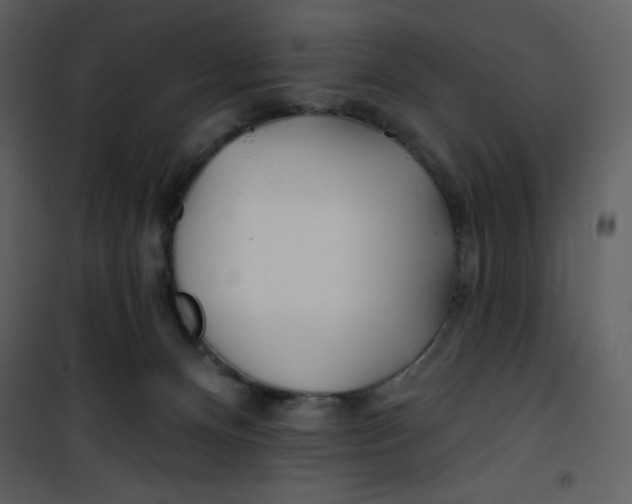 X0000100840128200807180929