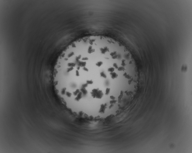 X0000100840130200807180929